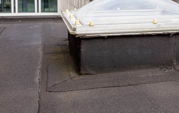 disadvantages of Mount Charles flat roofs