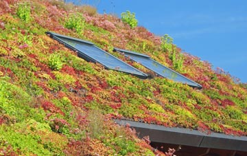 Mount Charles living roof systems
