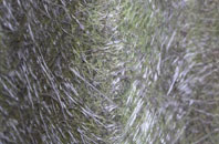 Mount Charles fibreglass roof work